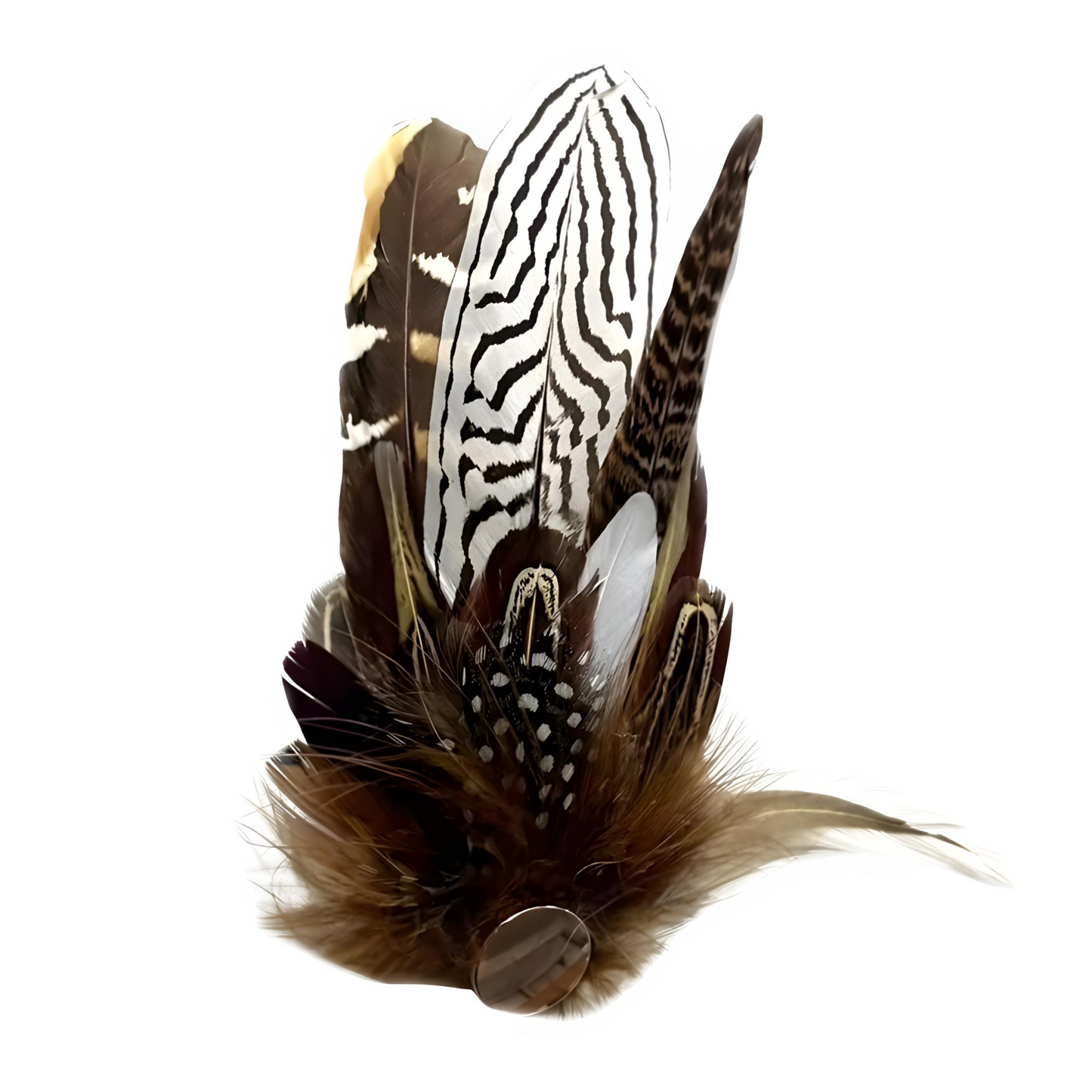 DERBY Genuine Pheasant Feather Hat Plume with Brooch Pin