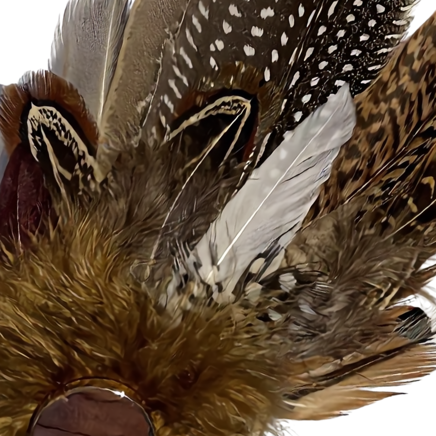 DERBY Natural Feather Hat Plume with Brooch Pin