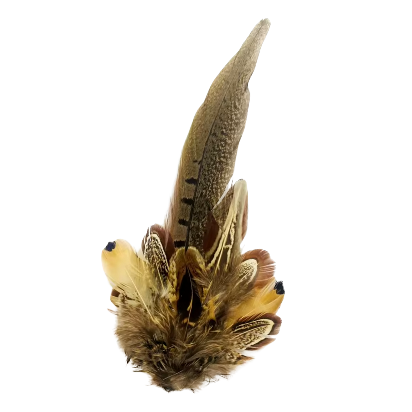 HARROW Genuine Pheasant Feather Hat Plume with Brooch Pin