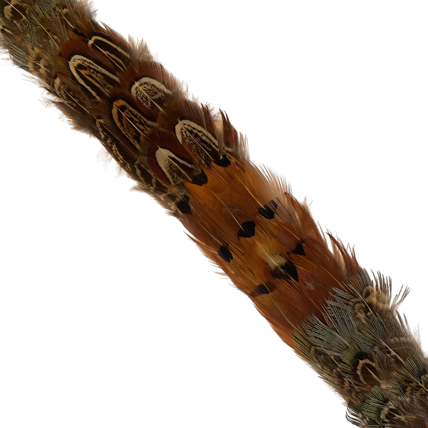 DAWSON Pheasant Feather Hat Band - Fully Adjustable (hat not included)