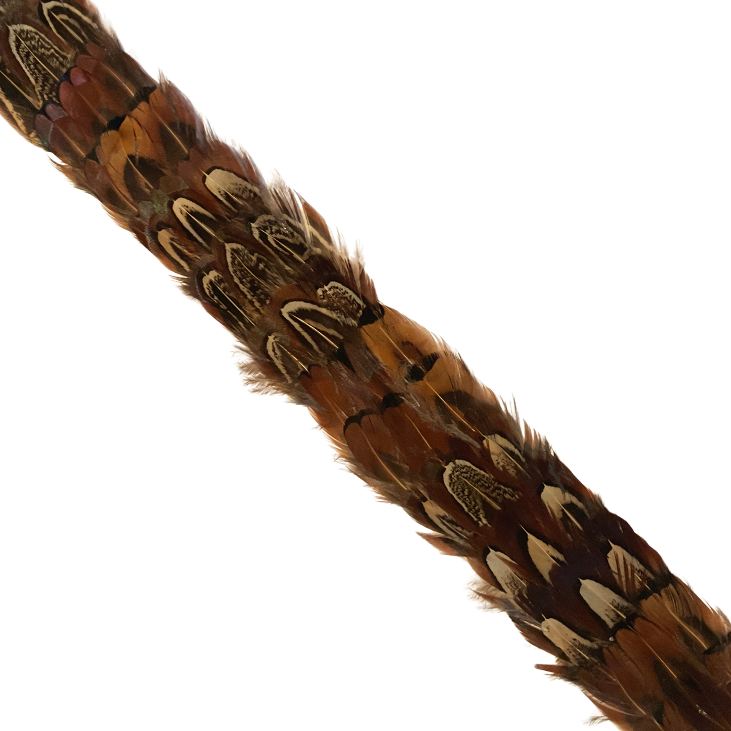 DAWSON Pheasant Feather Hat Band - Fully Adjustable (hat not included)