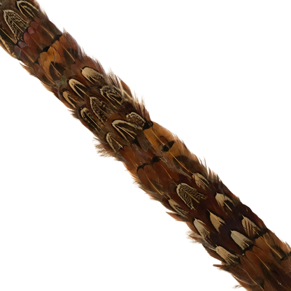 DAWSON Pheasant Feather Hat Band - Fully Adjustable (hat not included)