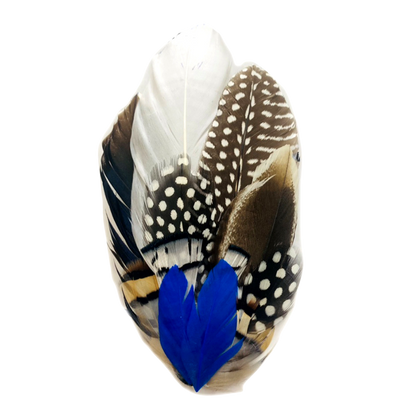 OTWAY Genuine Pheasant Feather Hat Plume with Brooch Pin