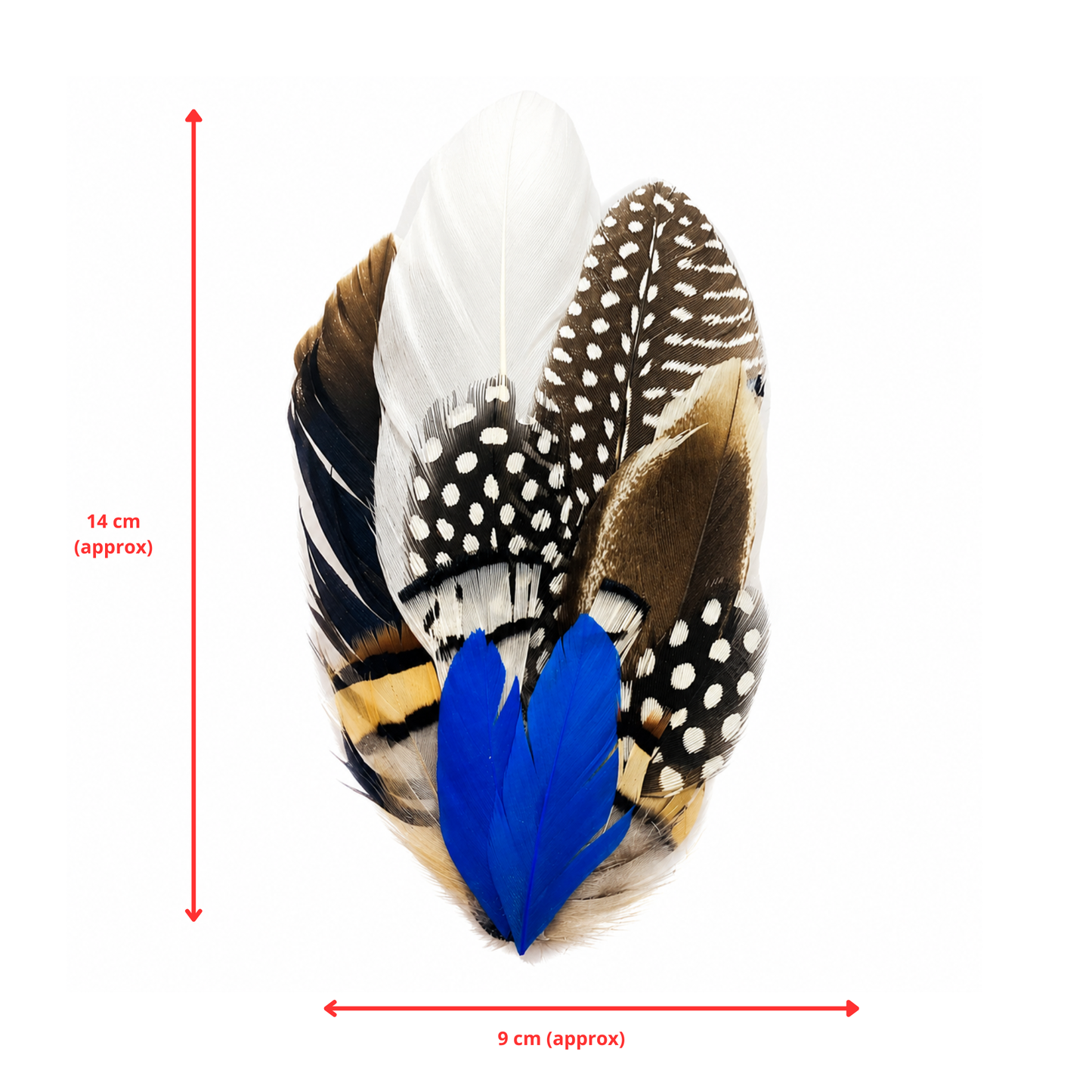 OTWAY Natural Feather Hat Plume with Brooch Pin