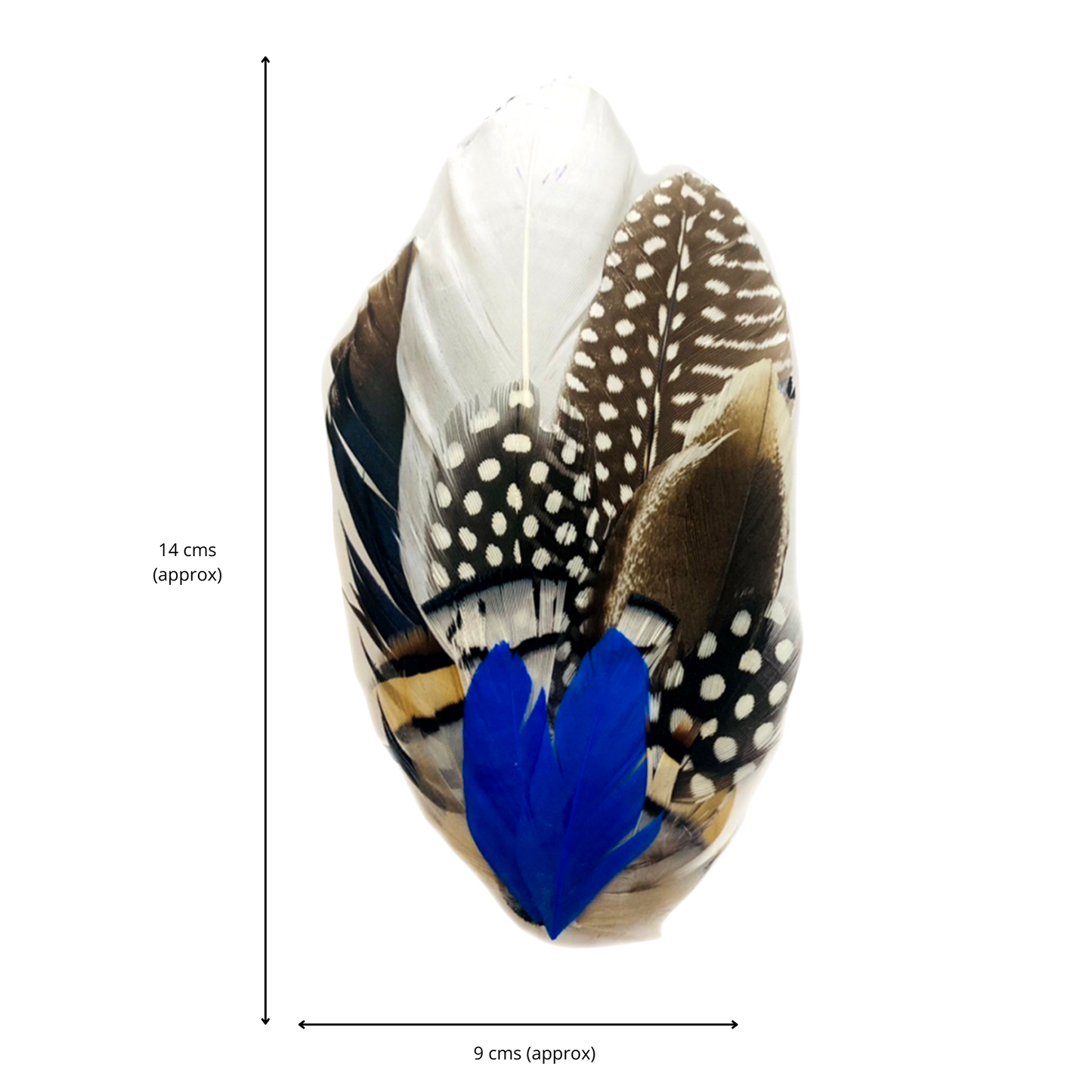 OTWAY Genuine Pheasant Feather Hat Plume with Brooch Pin