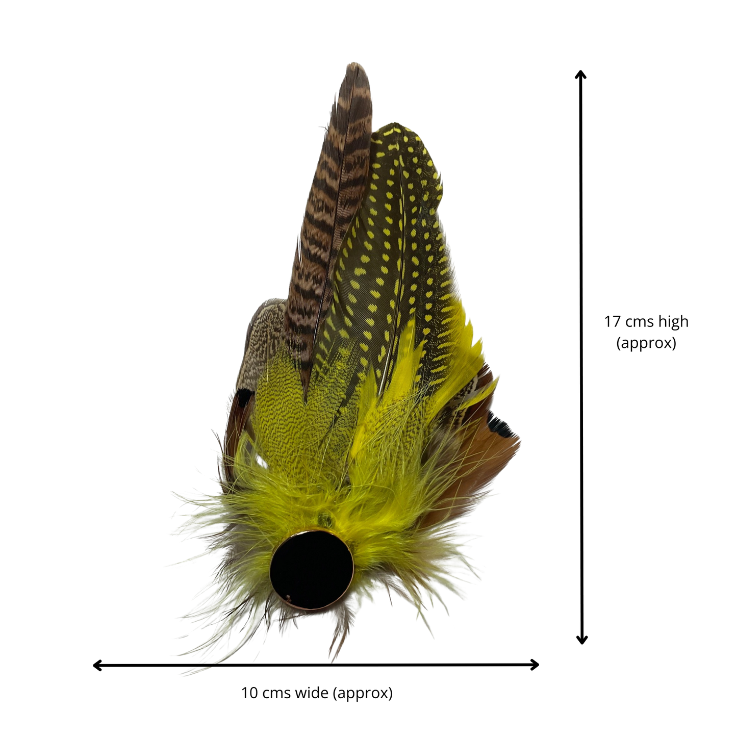 OXFORD Genuine Pheasant Feather Hat Plume