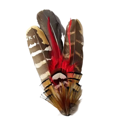 PERTH Genuine Pheasant Feather Hat Plume with Brooch Pin