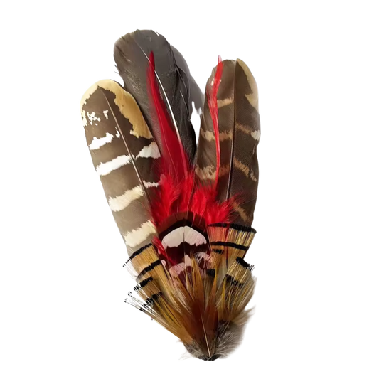 PERTH Genuine Pheasant Feather Hat Plume with Brooch Pin