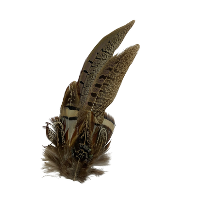 TENBY Genuine Pheasant Feather Hat Plume