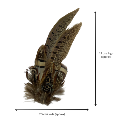 TENBY Genuine Pheasant Feather Hat Plume