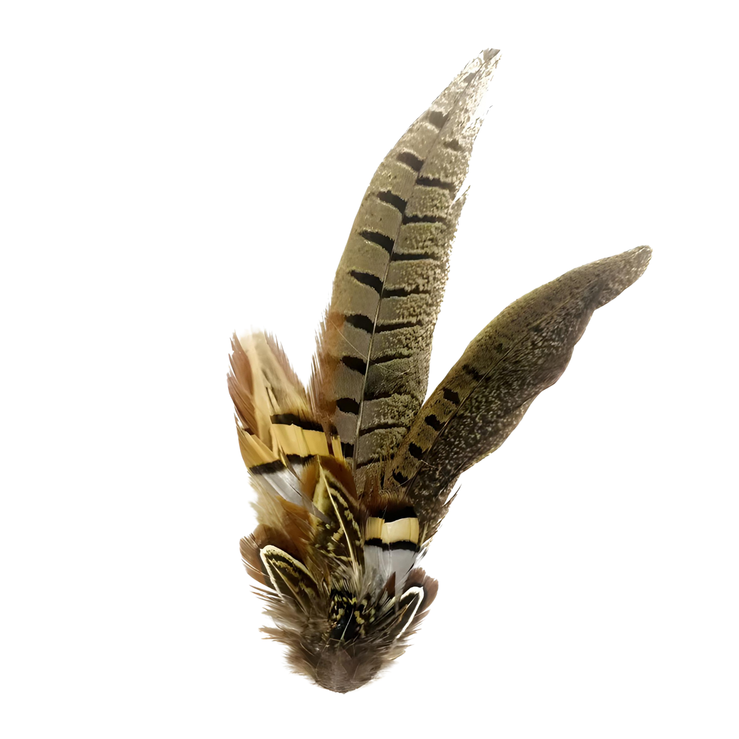 TENBY Genuine Pheasant Feather Hat Plume with Brooch Pin