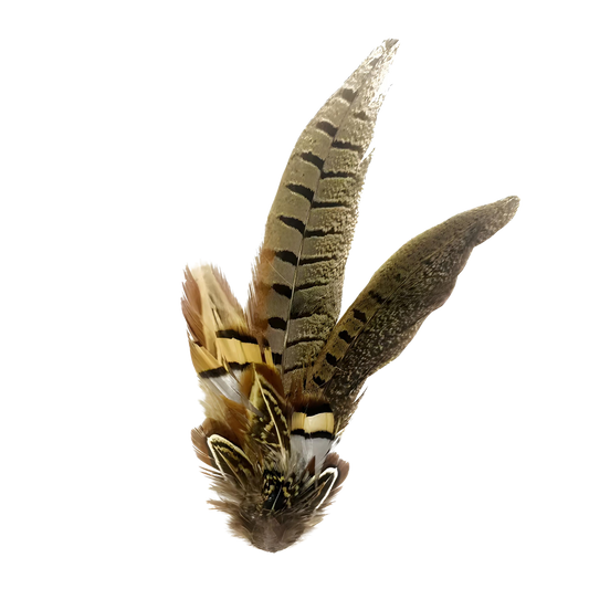 TENBY Genuine Pheasant Feather Hat Plume with Brooch Pin