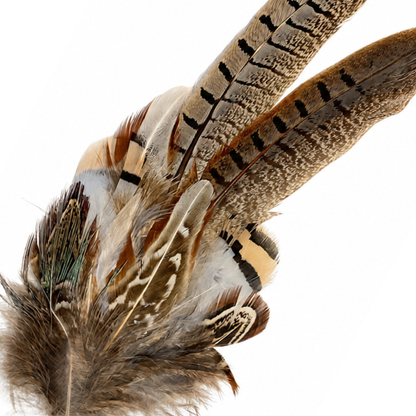 TENBY  Natural Feather Hat Plume with Brooch Pin