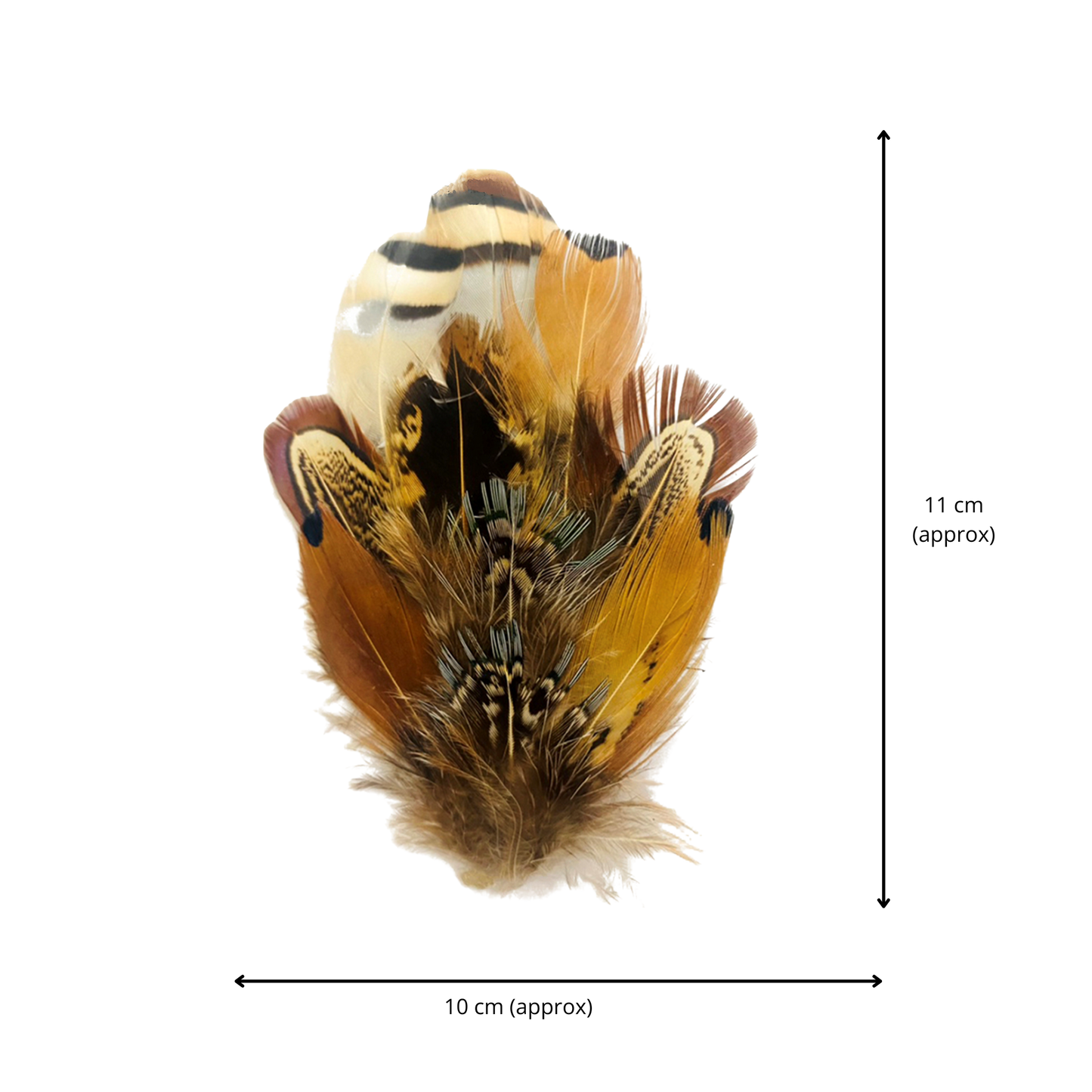 BURNIE Genuine Pheasant Feather Hat Plume with Brooch Pin