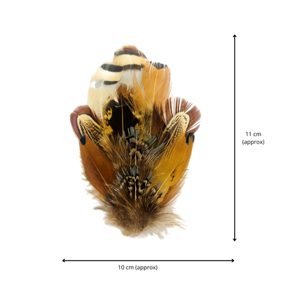 BURNIE Genuine Pheasant Feather Hat Plume with Brooch Pin